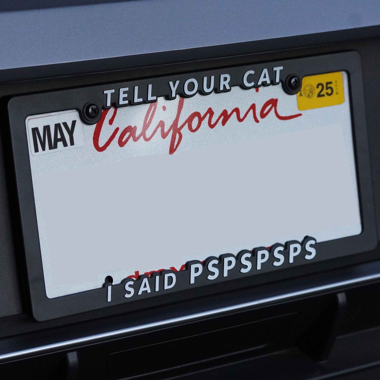 Tell Your Cat I Said Pspspsps License Plate Frame